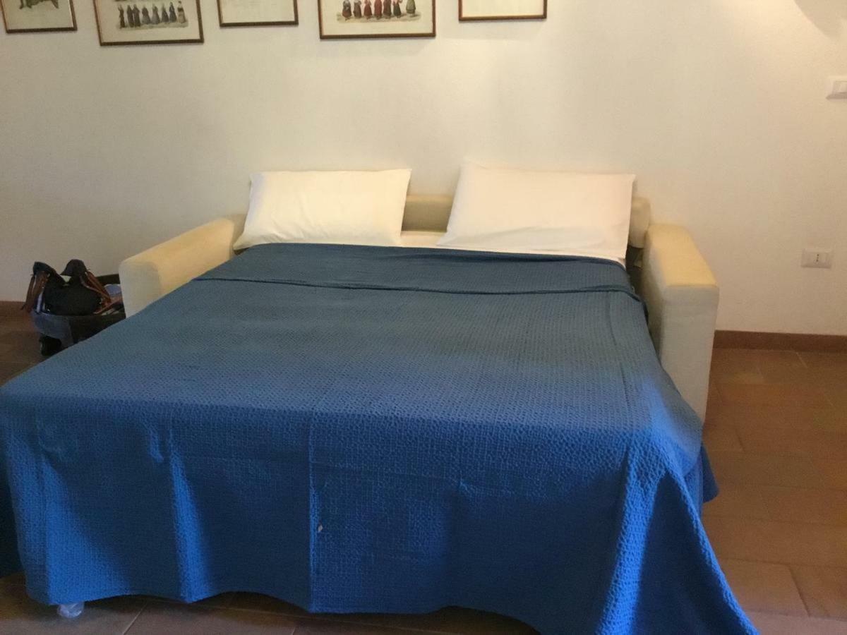 Apartment Exclusive 